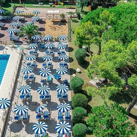 Palace מלון ביביונה